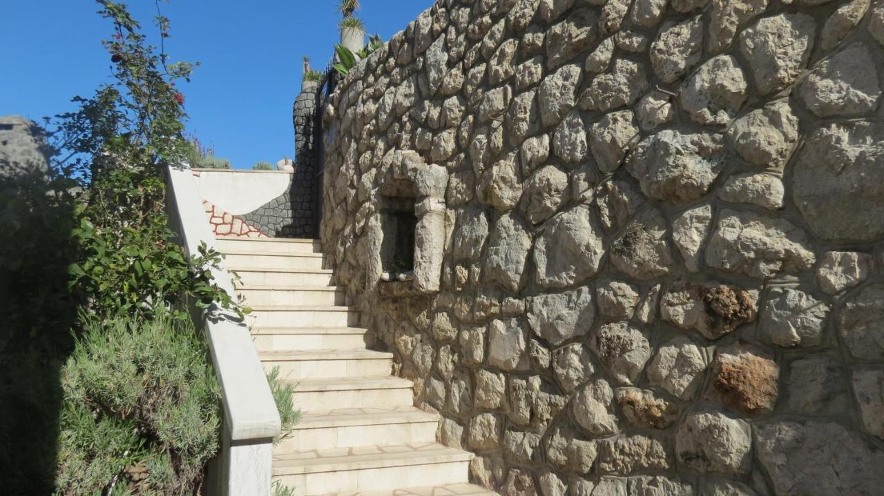 Apartment Agava Dubrovnik
